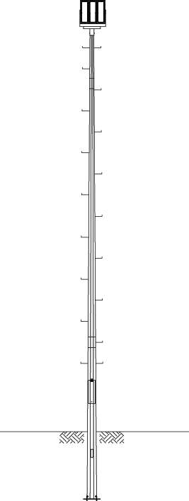 Climbing-Rung Pole